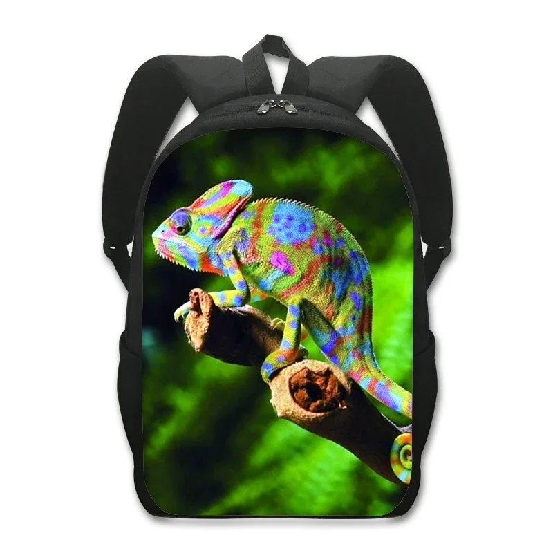 Animal Print Mochila para homens e mulheres, Pet Frog, Camaleão, Serpente, Aranha, Mochilas escolares para viagem, crianças, bolsa de livros, presentes infantis, 16 in