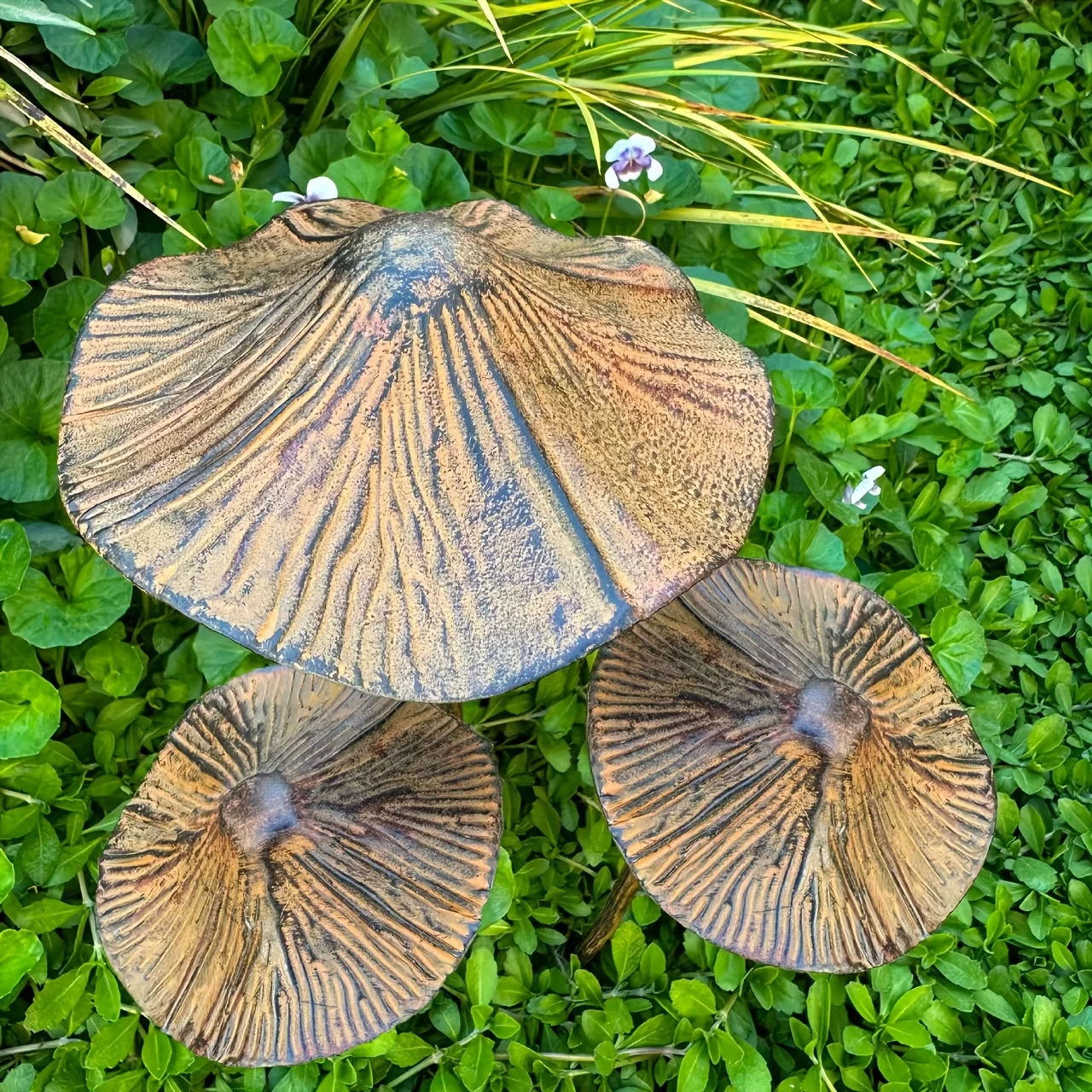 3pcs Retro Metal Rusty Mushroom Garden Decoration Set Outdoor Rusty Mushroom Plaque Garden Statues Sculptures Bonsai TY1499