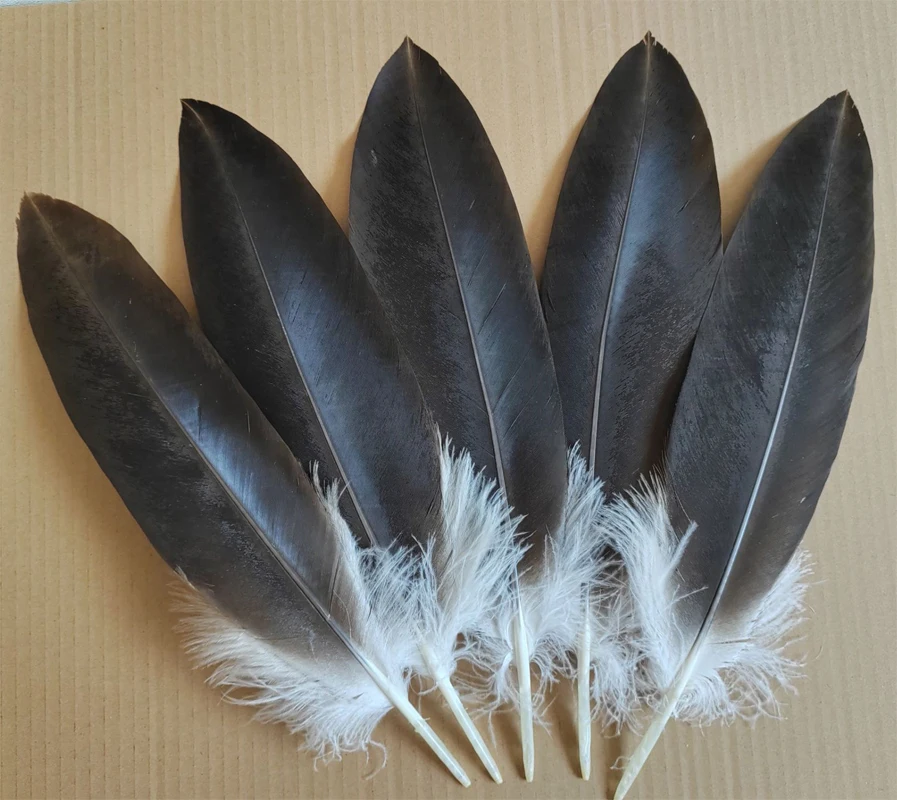 

10 шт., 40-45 см, красивый натуральный орел, оперение, редкая большая птица, ястребные перья, праздничное украшение одежды