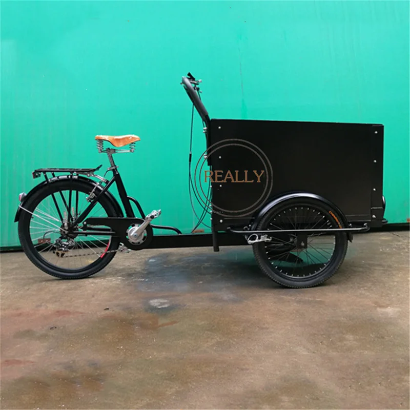 Cargo Electric Bike Dog Care Cargo Bike 3 Wheel Family Adult Bicycle Tricycle Child Seat Bike