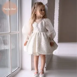 Baby Girl Princess Sequins Dress Long Sleeve Infant Toddler Child Vintage Mesh Vestido Wedding Party Birthday Baby Clothes 1-14Y