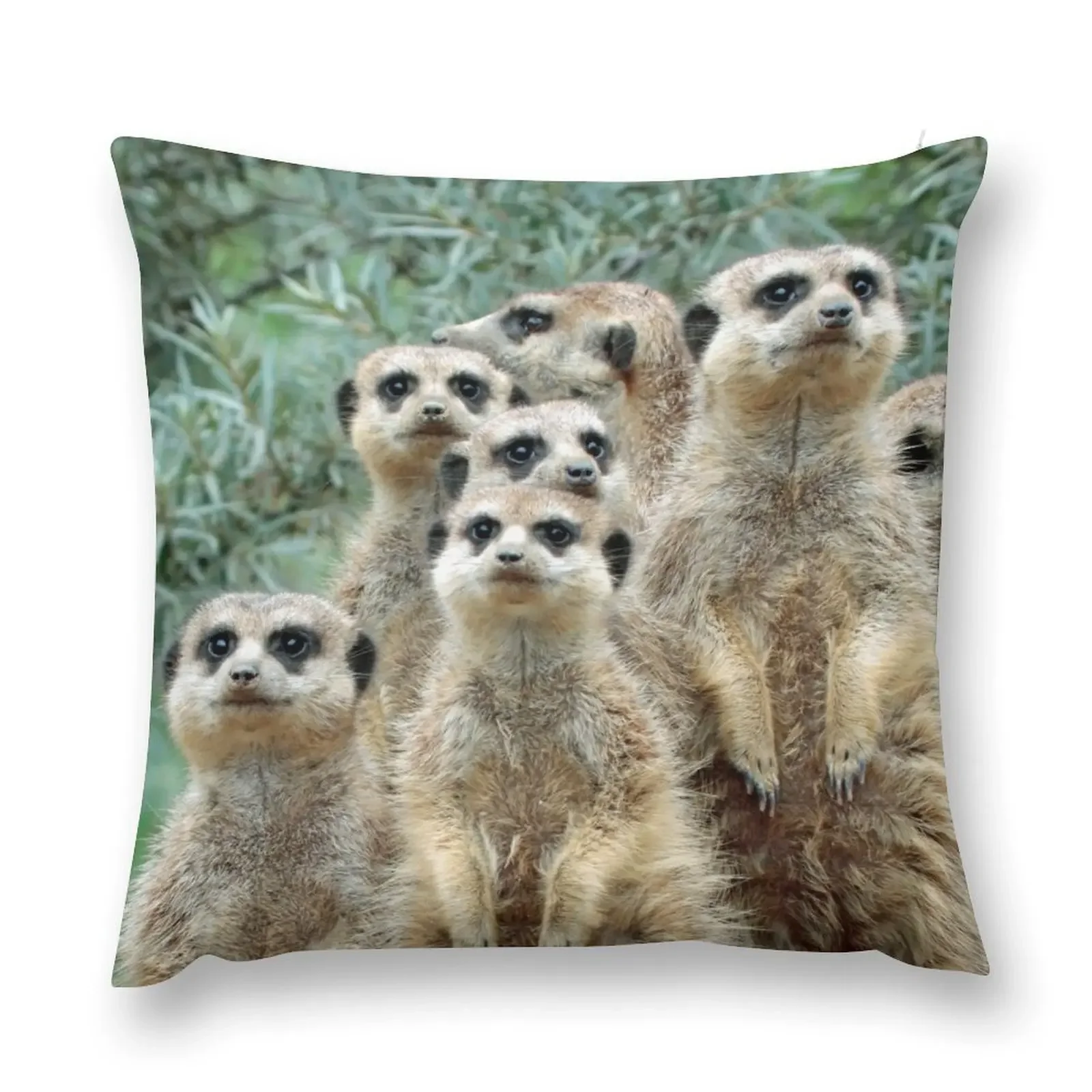 Meerkat 012 Throw Pillow sleeping pillows Cushion Cover Luxury Cushions Cover pillow