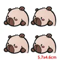 PE16797CT