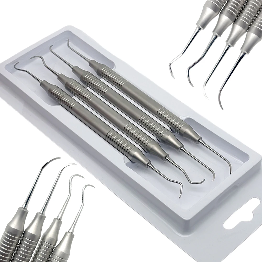 4Pcs/Set Dental Tooth Cleaning Scaler Kit Stainless Steel Oral Care Instruments for Dental Clinic Dentist Use
