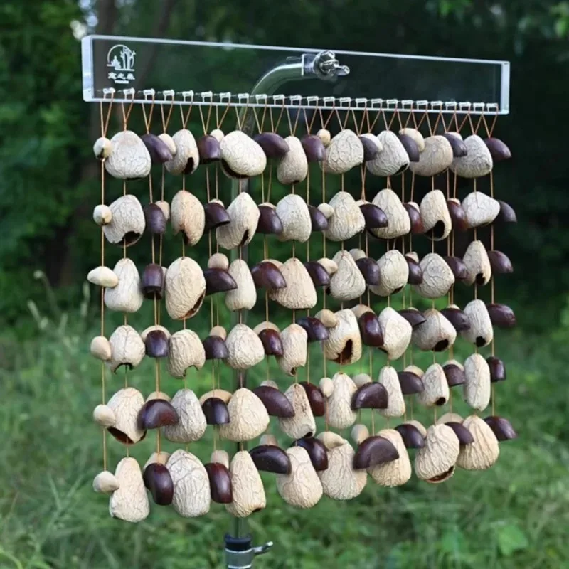 

Fruit Shell Wind Chime Meditation Sound Healing Wind Chimes Outside Yoga Percussion Instruments Chakra Musical Instruments