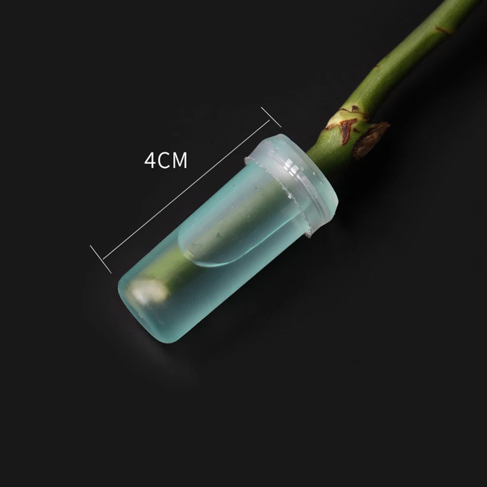

20pcs Floral Water Tubes Fresh Preservation Supplies Leak Free Rubber Caps Flower Arranging Accessories Storage Tubes