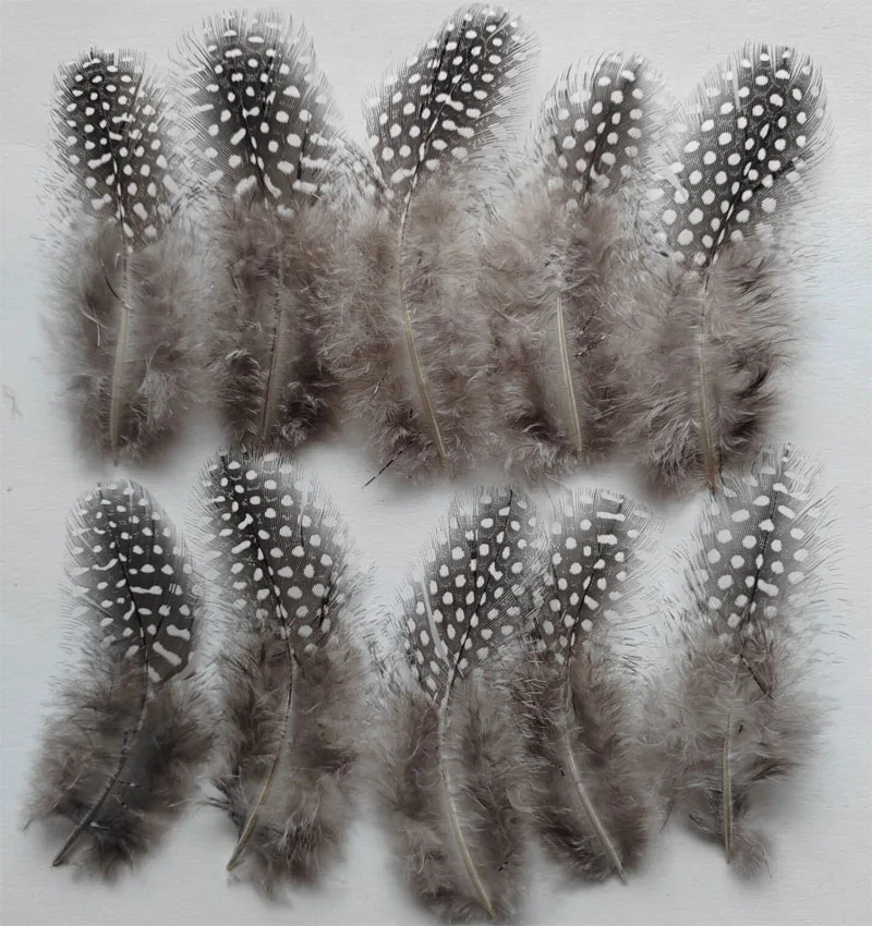 200Pcs 7-10Cm Natur…