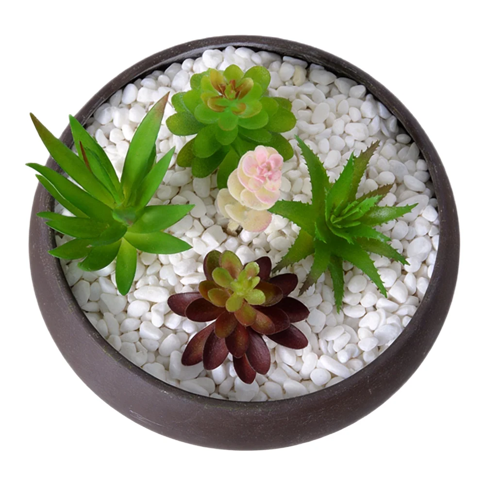 Succulent Arrangement Mini - Düşük Bakım Gereksinimli Mini Bonsai Sukulent