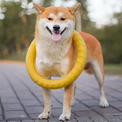 Dog Toy Training Ring Puller Puppy Flying Disk Chewing Toys Outdoor Interactive Toy Dog Game Playing Pet Supplies