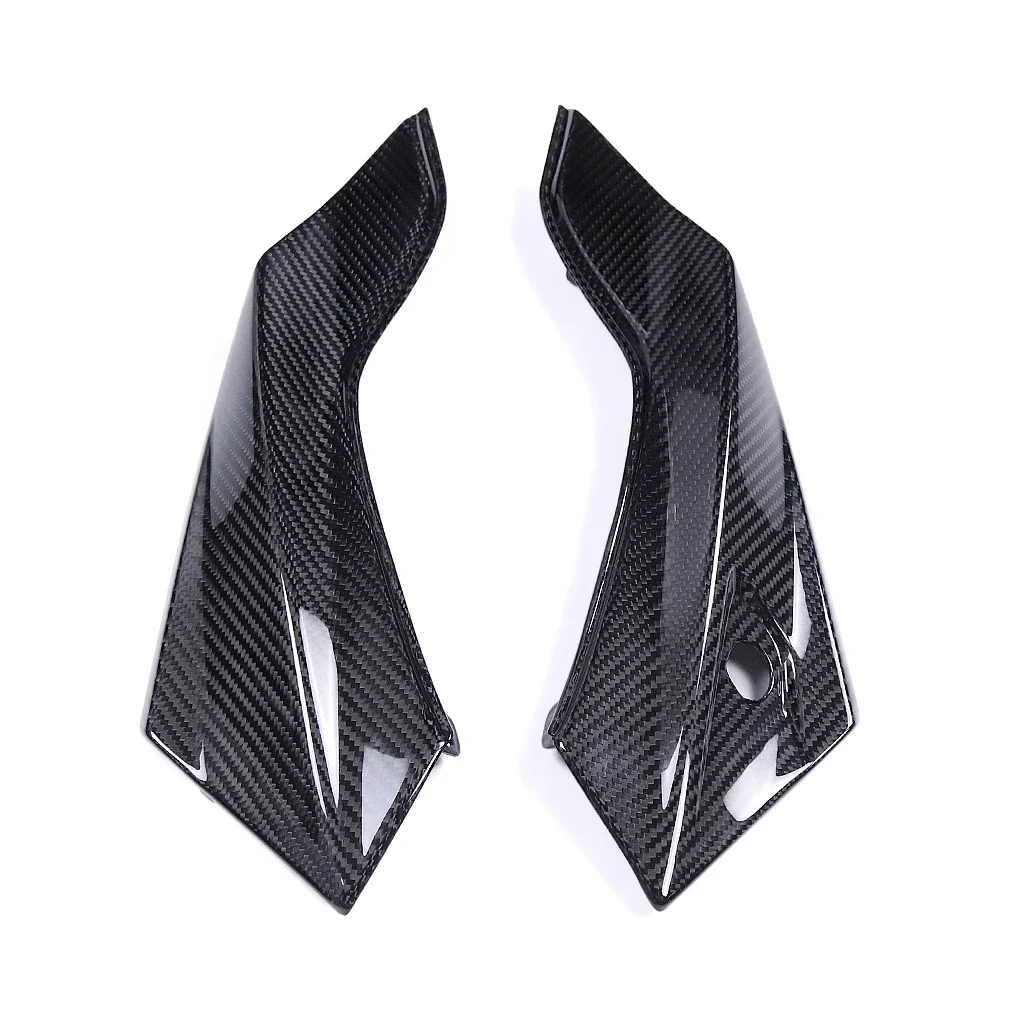 For BMW F900 XR F900XR F 900 XR 2020 - 2022 2023 2024 100% Carbon Fiber Rear Pairing Side Pieces Fairings Motorcycle Accessories