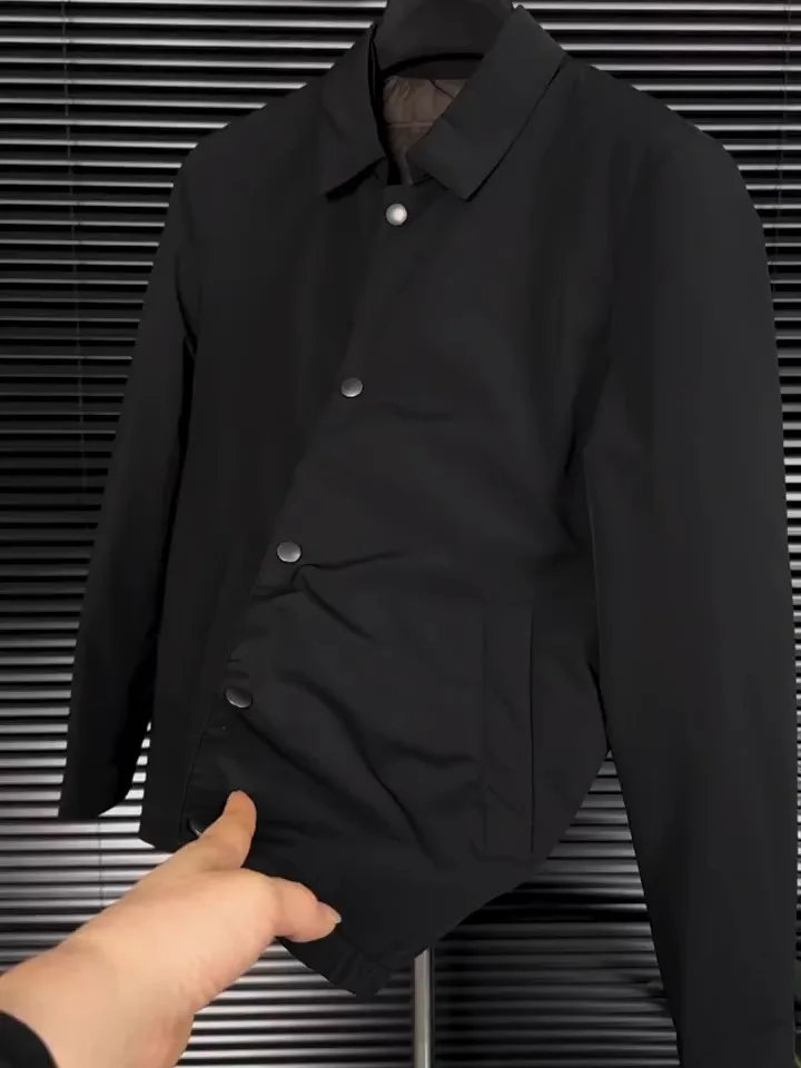 

Мужская стеганая пуховая куртка с воротником-стойкой, городской стиль, на гусином пуху, осенне-зимняя новинка