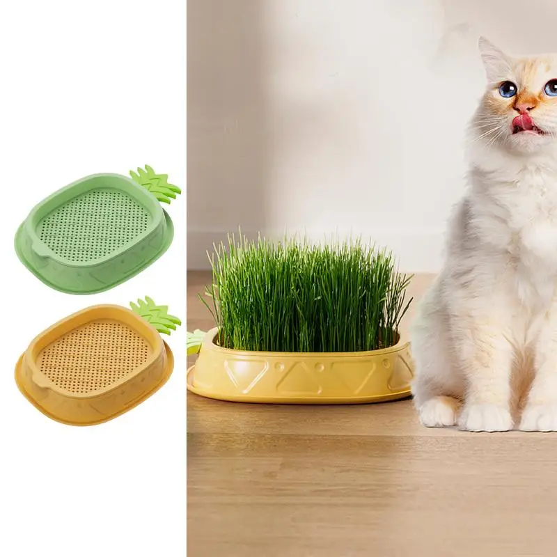 Cat Grass Pot Cat Grass Growing Tray Pineapple Design Plant Germination Tray Wheat Grass Growing Pot Nursery Cat Plant For