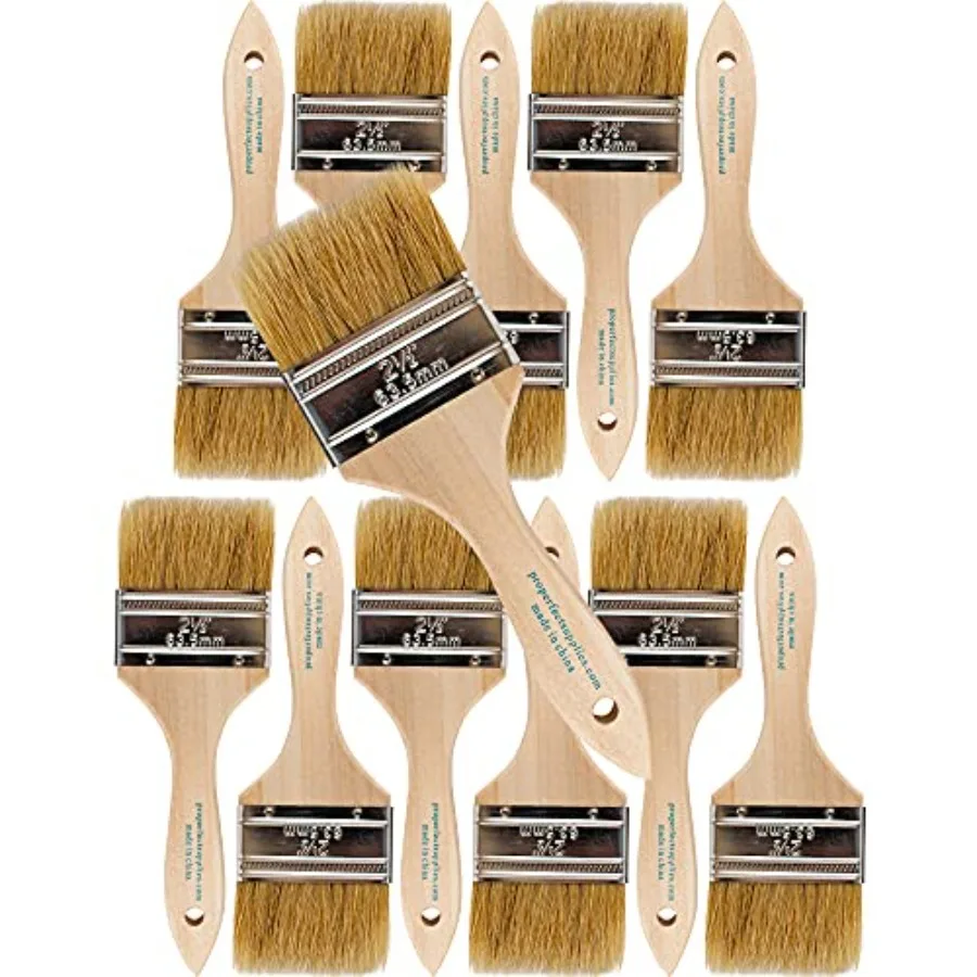

Chip Paint Brushes - 12-Pack - 2.5" Chip Brushes for Paints, Stains, Varnishes, Glues, and Gesso - Home Improvement - Interior