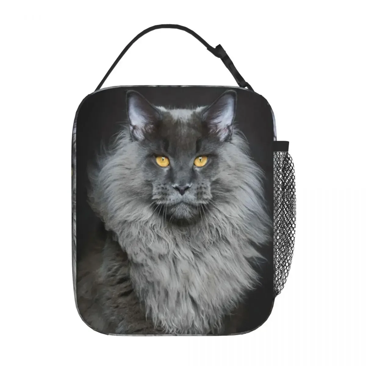 Bestselling Cat Lion Beach Industrial Style Thermal Food Carrier Office Break Picnic Lunch Bag