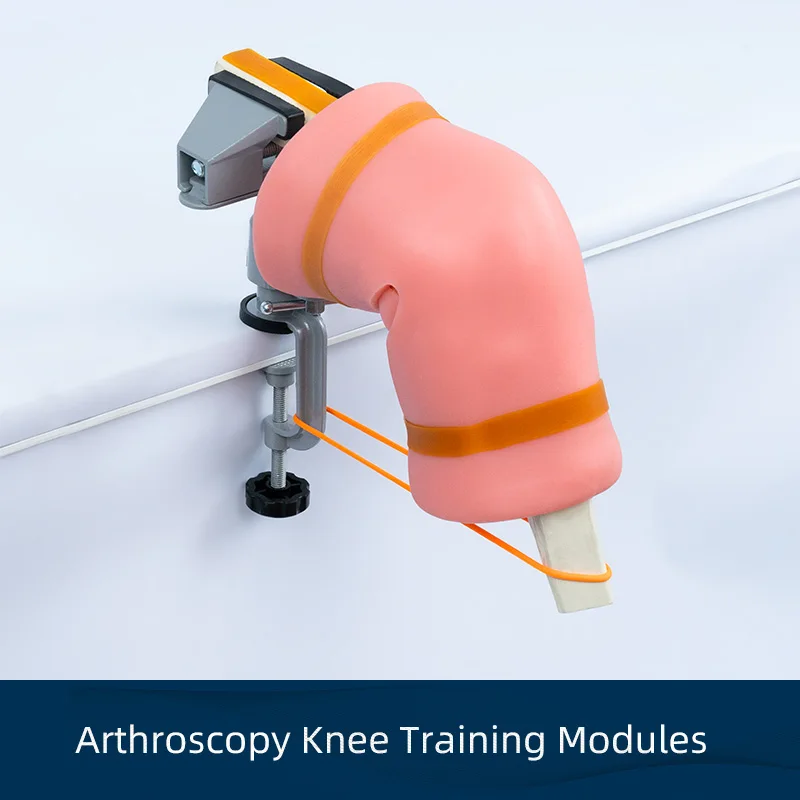 

Arthroscopy Clamp Knee joint model Shoulder joint model Arthroscopic surgery simulation training equipment training simulator