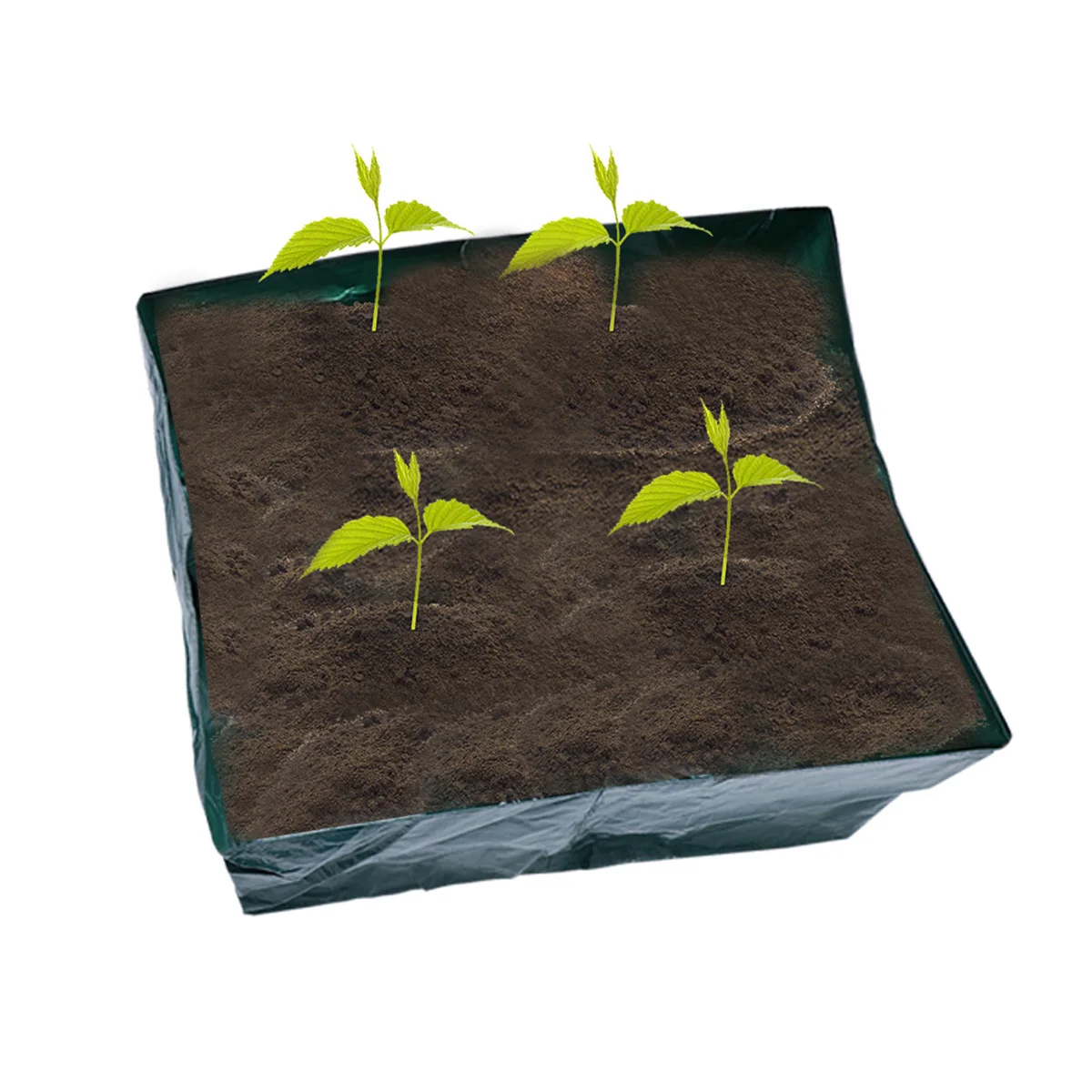 

Flower Planting Bag Four-Grid Frame Drainage Holes Balcony Garden Outdoor Use Mixed Vegetables Pot Grow Bag for Herbs