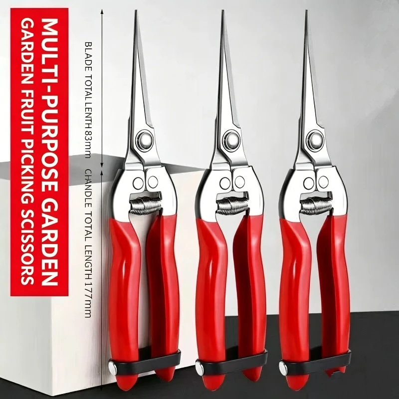 

Thickened Stainless Steel Fruit Picking Scissors - Gardening Pruning Shears for Grapes, Dragon Fruit, Sichuan Pepper, Harvesting