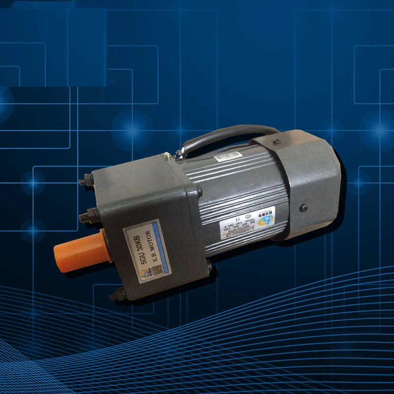 

Speed Motor 60W 120 200W 220V Gear Reducer 400 750 1500W Motor Conveyor