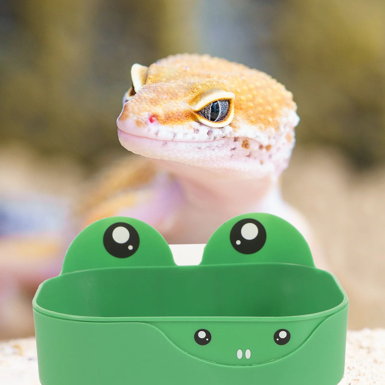 

Rest Platform Small Reptile Habitat Frog Molding Wear-Resistant Terrarium Decor For Lizards Geckos Reptile Supplies