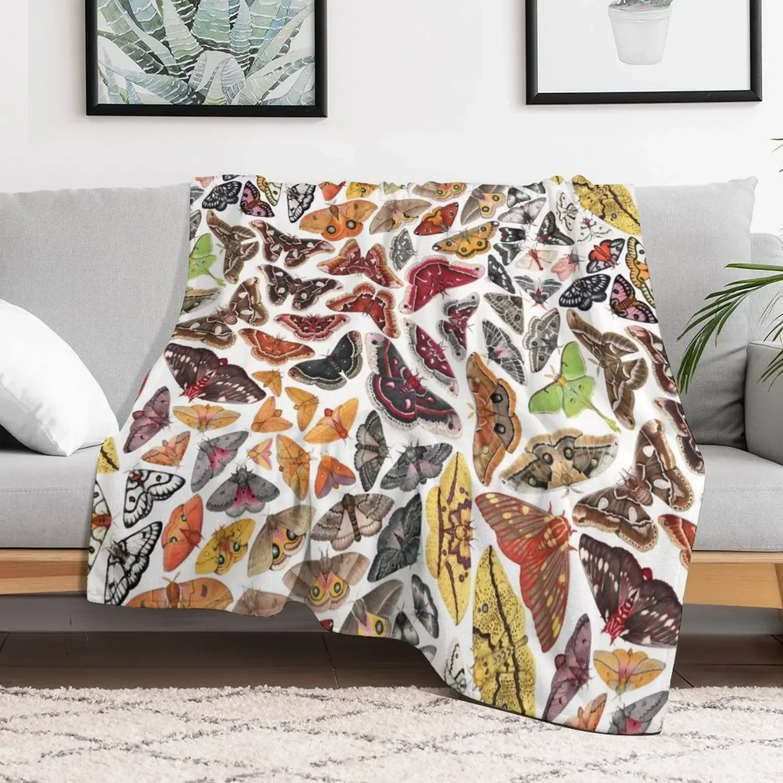 

Saturniid Moths of North America Pattern Throw Blanket Heavy anime Nap Blankets