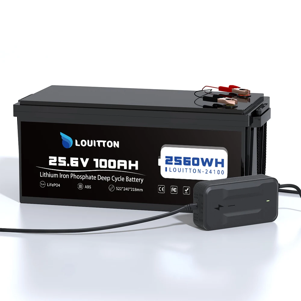24V 100Ah Lifepo4 Battery Pack Rechargeable Solar Battery 24V 60AH With BMS For RV Boat Motor Outdoor Inverter