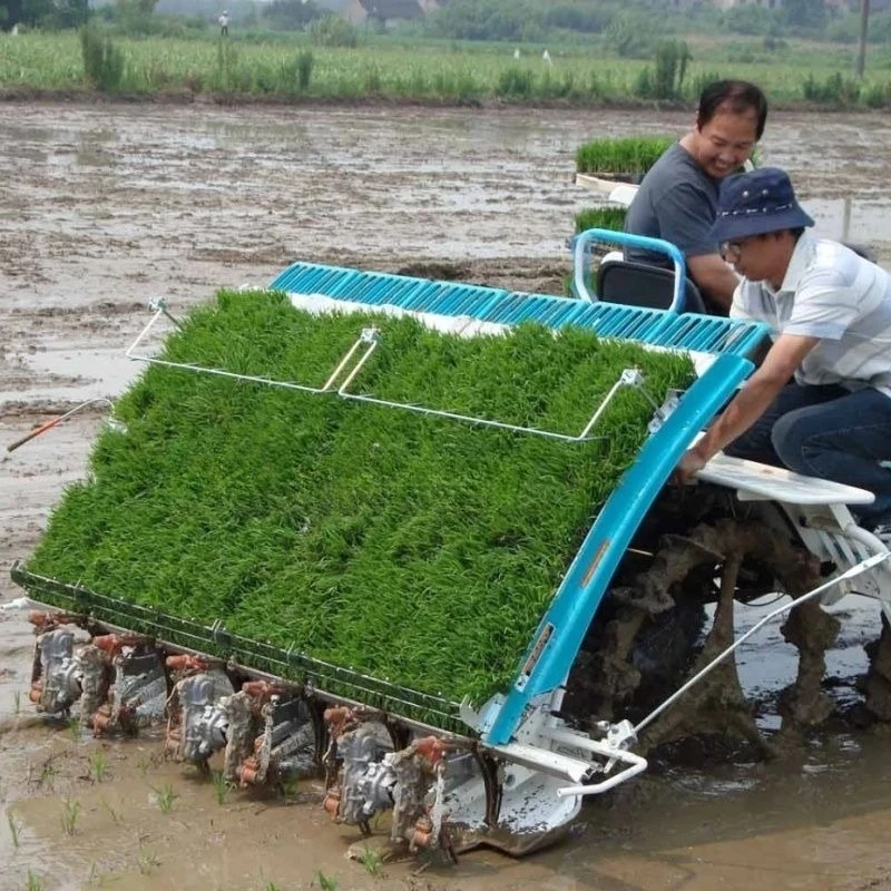 Multi-row rice transplanter, seedling planting, hand push ride-on seedling planter