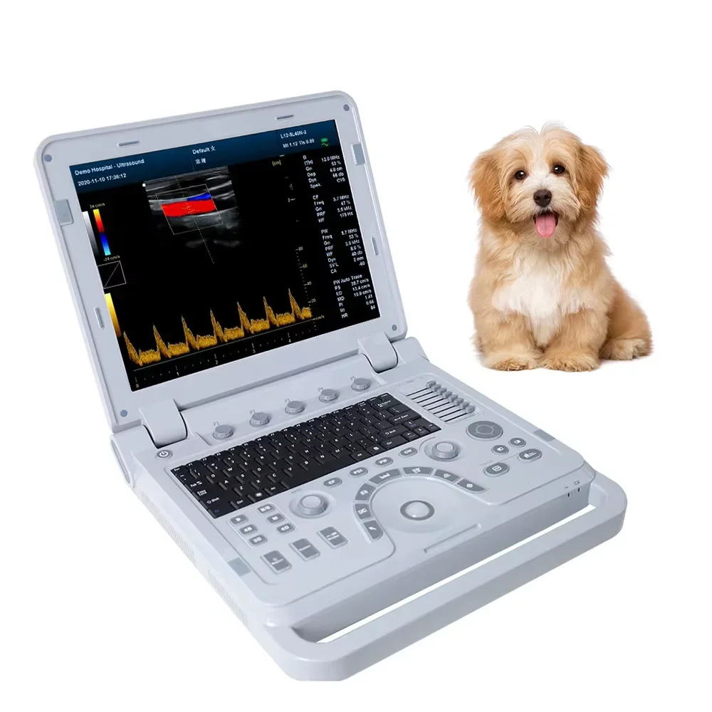 CMS1700A-VET Laptop 3D Color Ultrasound System and Color Doppler Ultrasonido Machine Veterinary Equipment