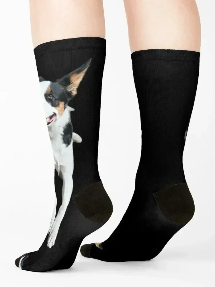 Vinnie One Super Model Socks shoes designer Climbing funny gifts Women's Socks Men's