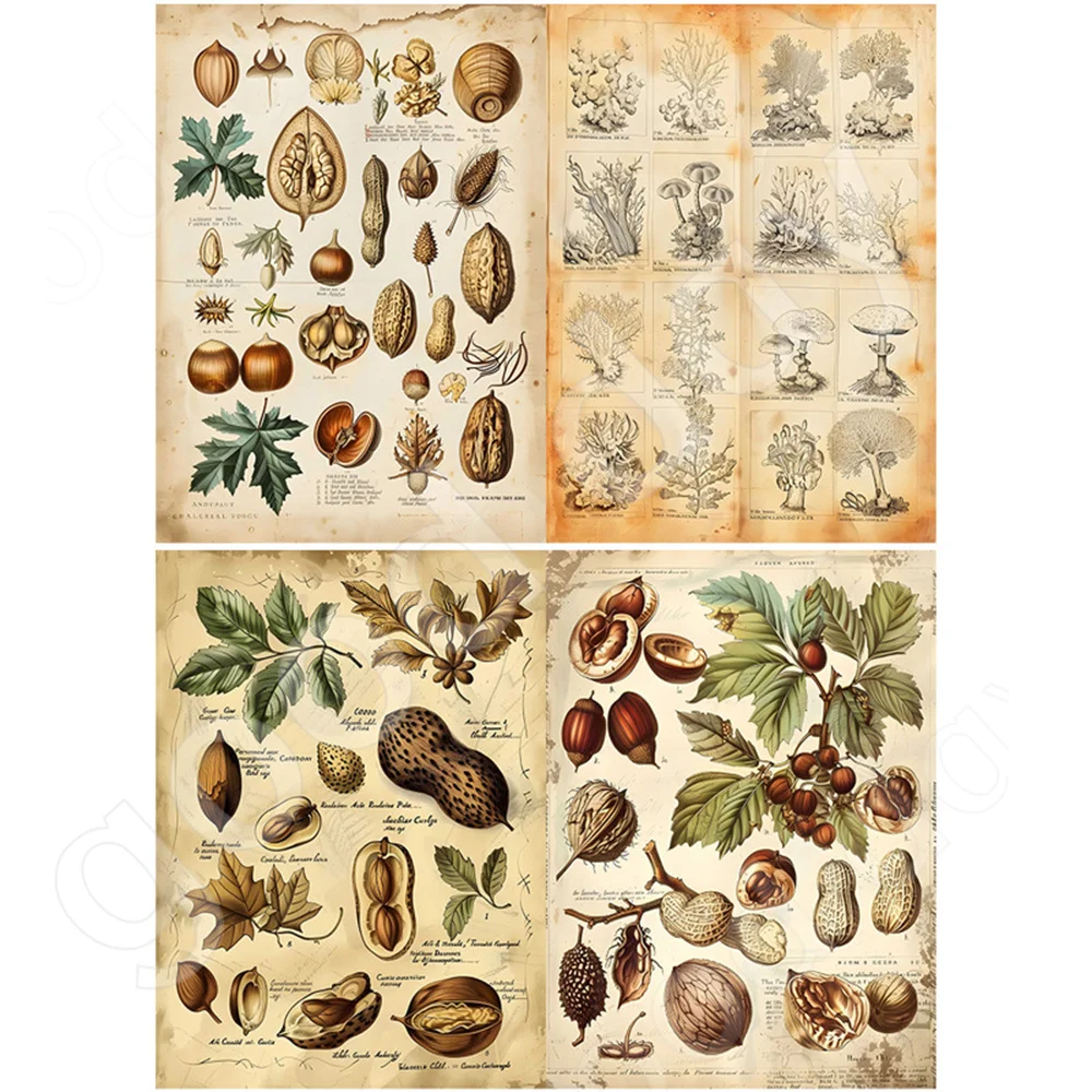 Botanical world 10 sheets material paper vintage do old dead tree nut pattern handbook DIY notebook background paper diary album view 6