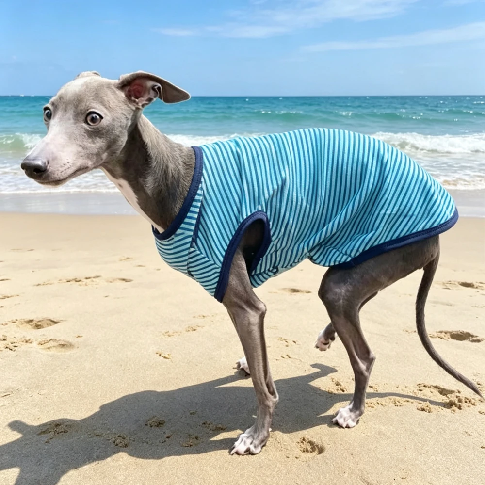 Chaleco sin mangas rayas azules para galgo italiano, whippet y perros - imagen 4