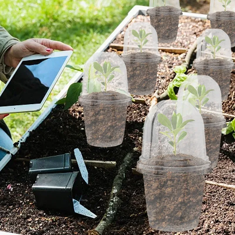 Thumbnail 3 - #16 Compare Plant Pots Before You Buy