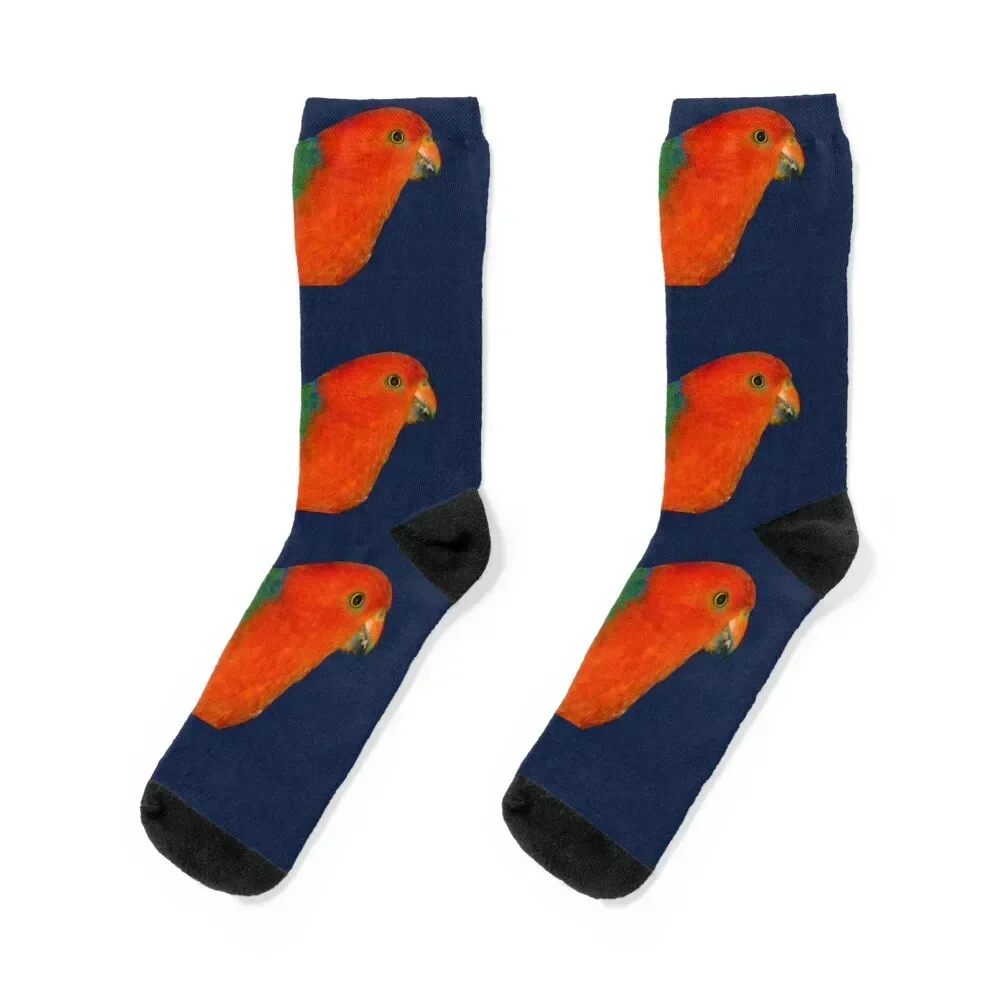 Australian King-Parrot male Socks ankle football with print halloween Ladies Socks Men's