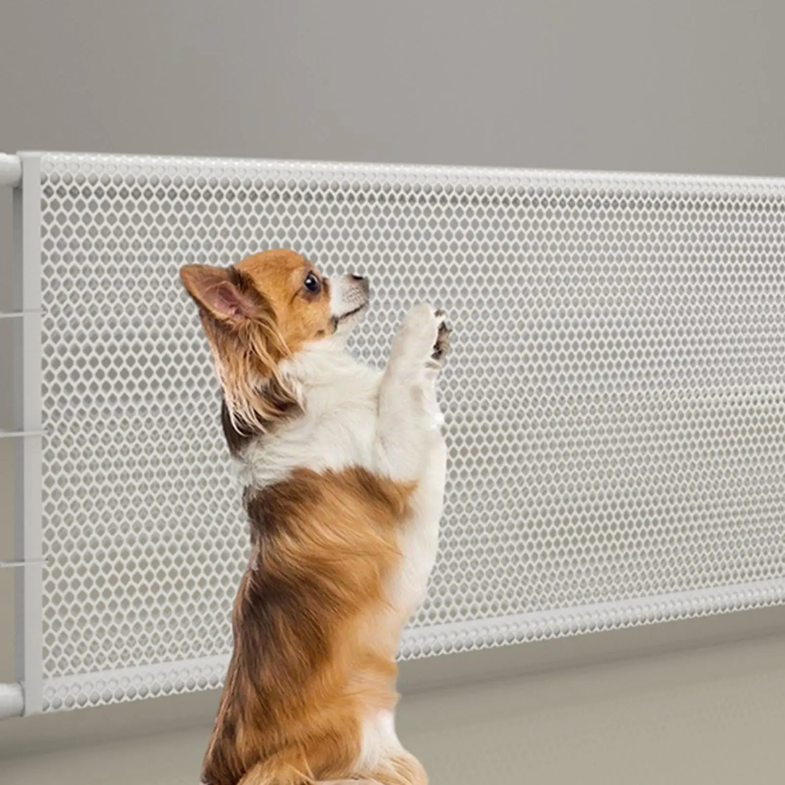 

Retractable Dog Gate Mesh Indoor Outdoor Adjustable Stairs Doorways Barrier Doorways Stairways Retractable Gate For Deck Porch