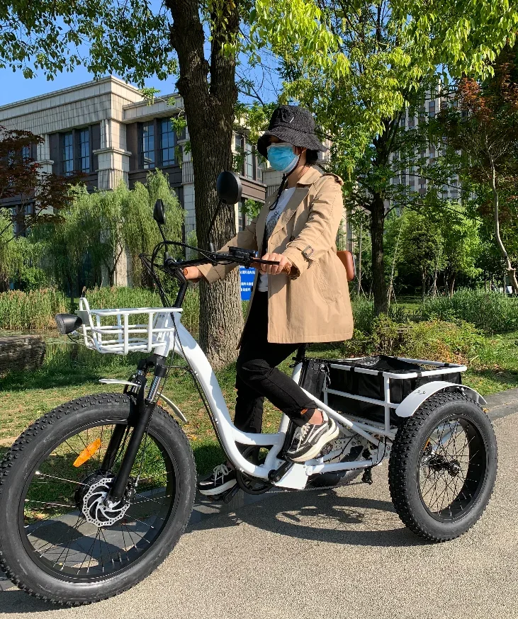 

cycle electric tricycle fat tire etrike EN15194 real CE 36V 250W 48V 500V optional cargo trike three wheeler bikes origin custom