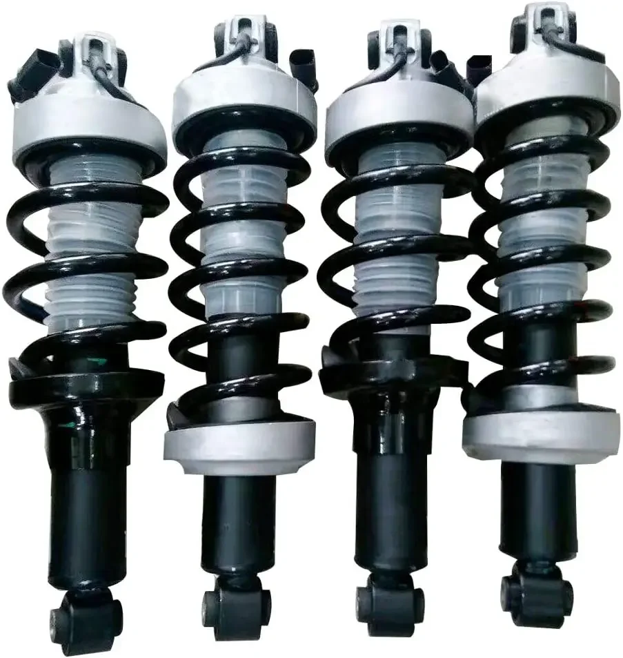 

Auto Spare Car Parts Air Suspension Shock Absorber For Audi R8 OE 420512019AL