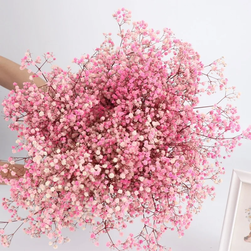 

Gypsophila Dried Flowers Natural Fleurs Sechees Christmas Wedding Decoration Fake Flores Artificial Flowers Home Decor Wholesale