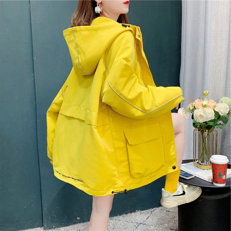 

New Korean Hooded Jacket Women Spring Fall 2024Loose Retro office Jacket Y2K Plus Size Joker Top Lady Student Sweatshirt Outwear