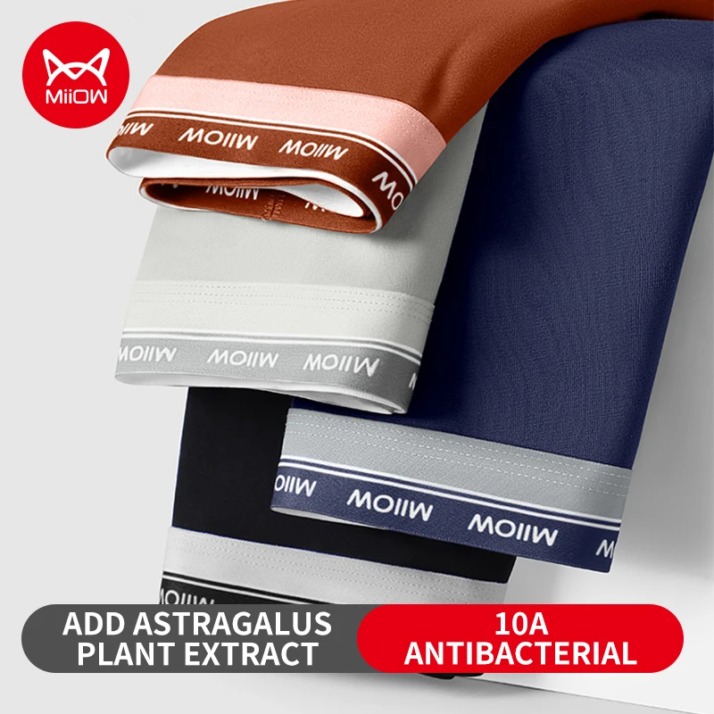 

MiiOW, 4 шт., хлопковое мужское нижнее белье, приятное для кожи, боксеры 10A, антибактериальные мужские трусы, мужские боксеры, дышащие трусы, размеры L-4XL