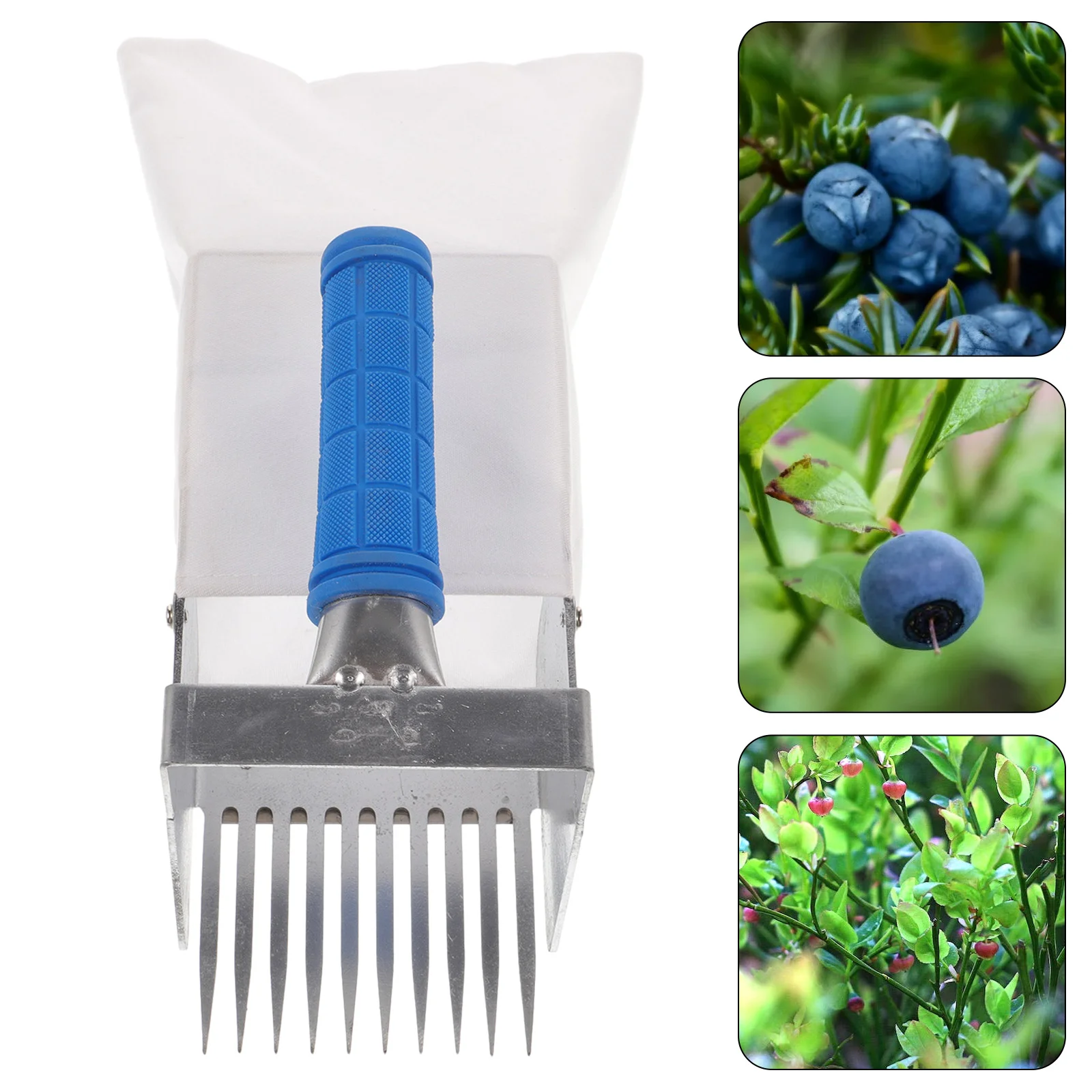 

Blueberry Picking Tools Cherry Picker Mangoes Rake and Garden Supplies Outdoor Cloth Rubber Fruit For Home Scoop