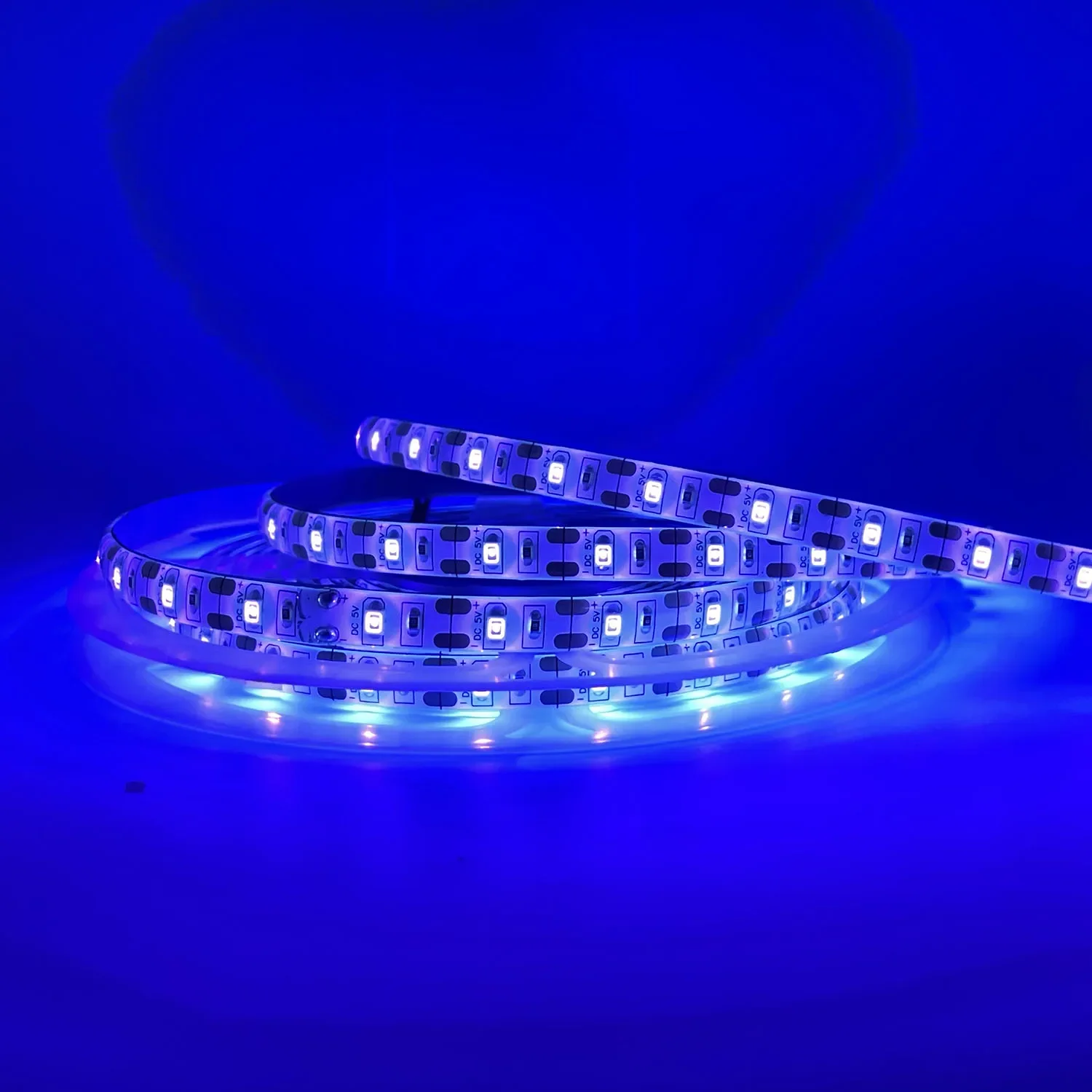 5V 12V 24V UV Ultraviolet 395-405nm Led Strip Black Light 5050 2835 SMD 120led/m Waterproof tape lamp for DJ Fluorescence party