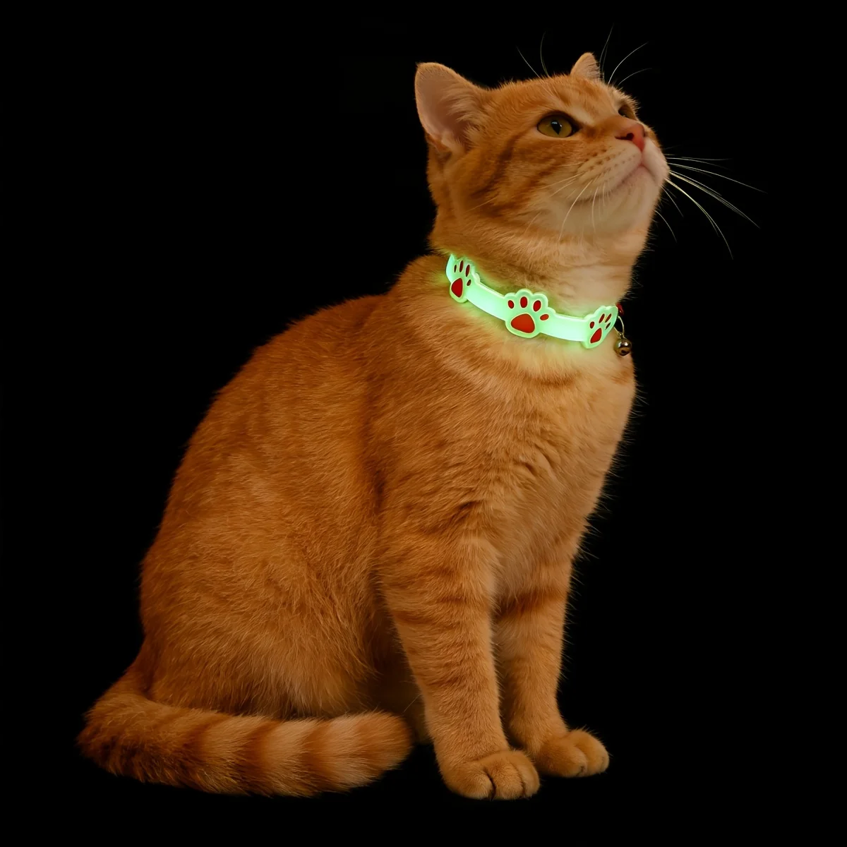 2 colliers pour animaux qui brillent dans le noir |   Collier lumineux avec cloche pour empreintes de pattes, sécurité nocturne anti-perte pour chats et petits chiens, couleur aléatoire