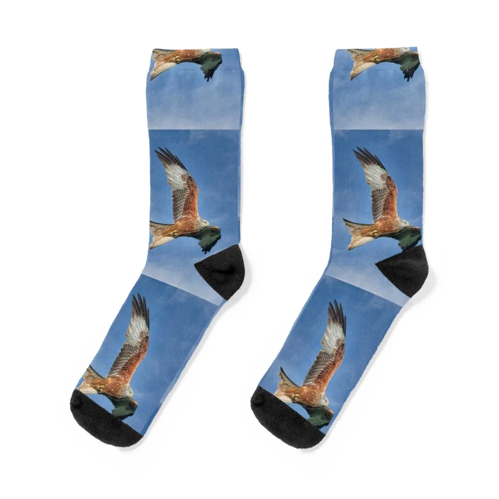 

Red Kite Bird of Prey (Milvus Milvus) Socks kids heated retro fashionable Socks Male Women's