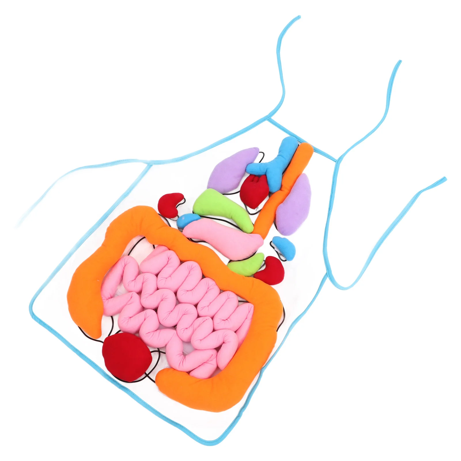 

Фартук-орган, когнитивная игрушка, 3D человеческие органы, трехмерные развивающие детские инструменты для раннего обучения, игрушки для младенцев с животными