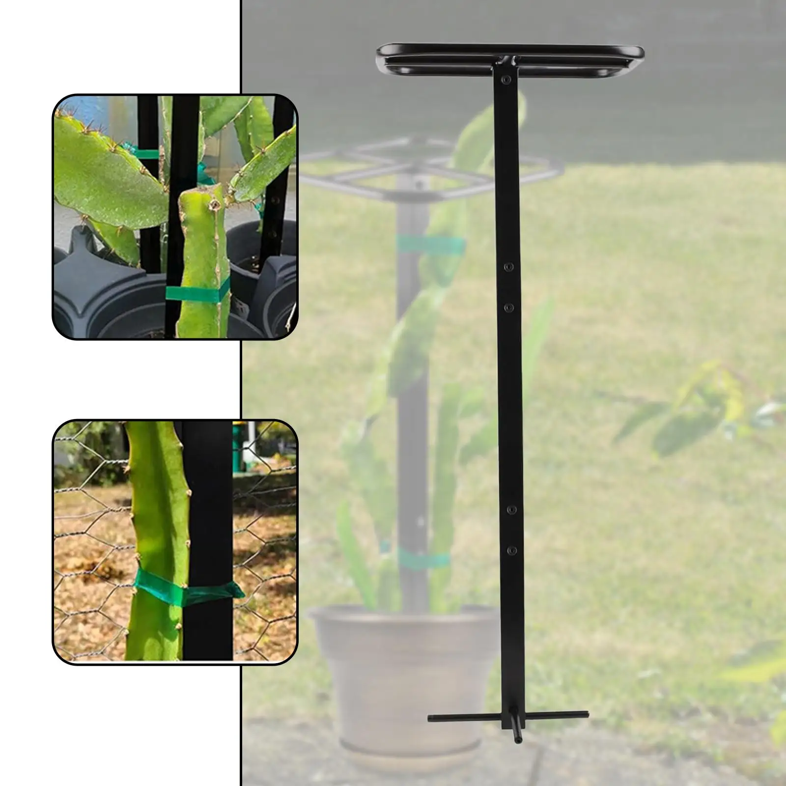 Dragon Fruit Trellis Garden Trellis for Backyard Houseplants Vegetables