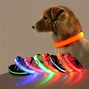 Collier de chien LED en Nylon sécurité nocturne clignotant lueur dans la nuit laisse de chien de compagnie chiens de compagnie lumineux Fluorescent accessoires pour chien collier