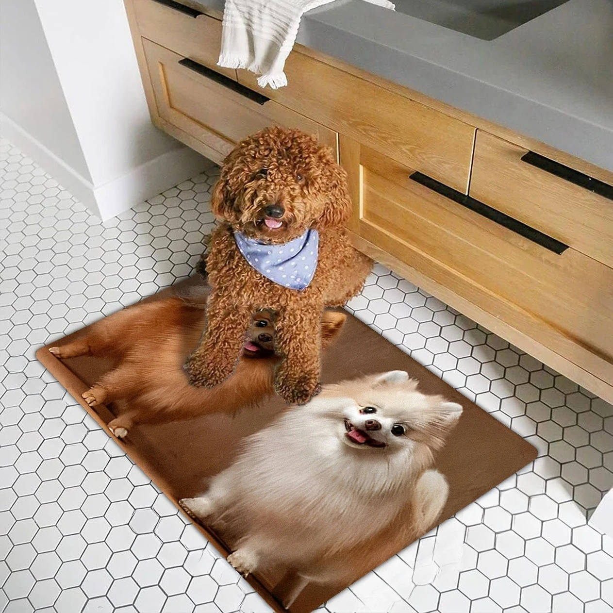 

1pc Cute Puppy Kitchen Area Mat - Non-Slip, for Indoor/Outdoor Use, Quick Dry & Lightweight, Perfect for Kitchen, Laundry Room