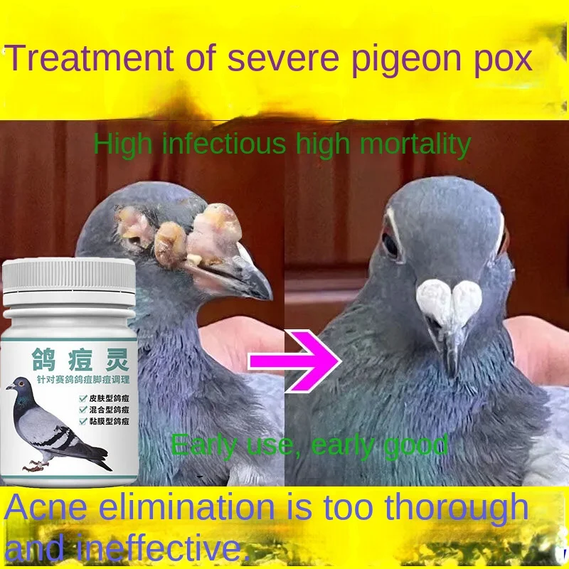 Pigeon pox 100 capsules throat acne skin eye problems