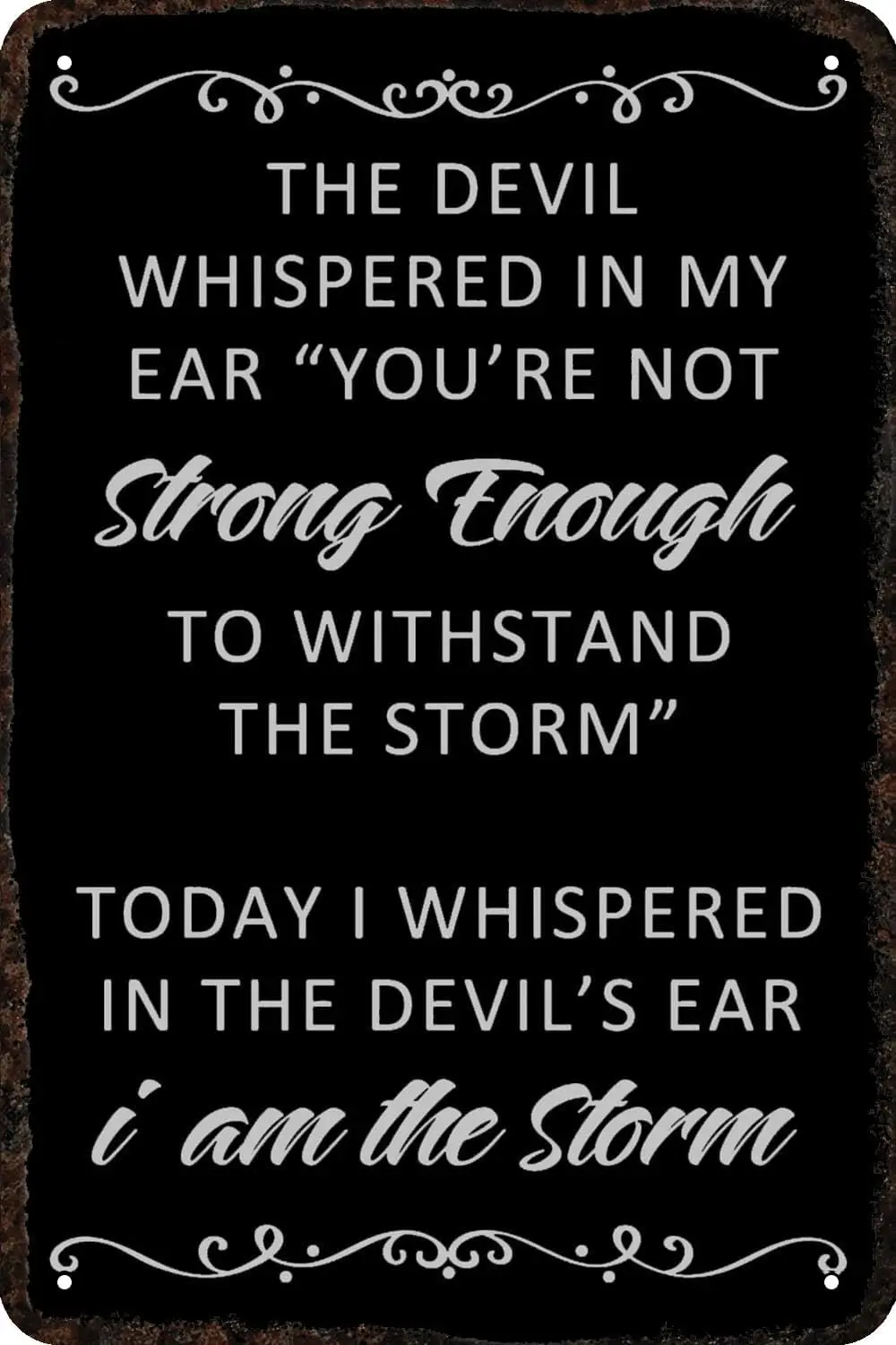 Metal Signs Today I Whispered in The Devil's Ear I Am The Storms Vintage Tin Sign Funny Art Wall Decorations for Home Man Ca