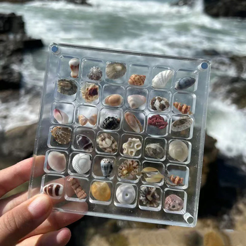 Acrylic Magnetic Seashell Display Box Seashell Display Diamond Storage Box Small Craft Organizers Compartment 36/64/100 Grids