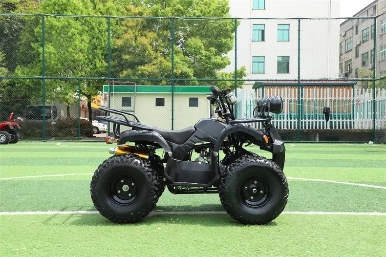 48V/500W Adults Electric ATV Quad Quad Bikes Atv Beach Buggy Mountain ATV